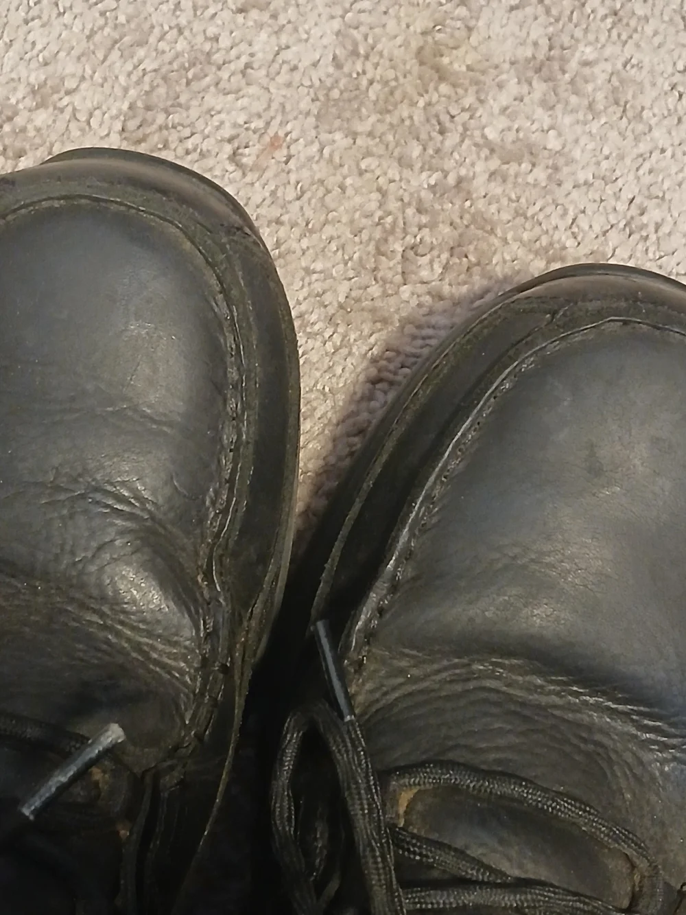 Ariat men chukka